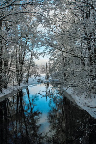 Lauri Lohi: Winterday by Lauri Lohi