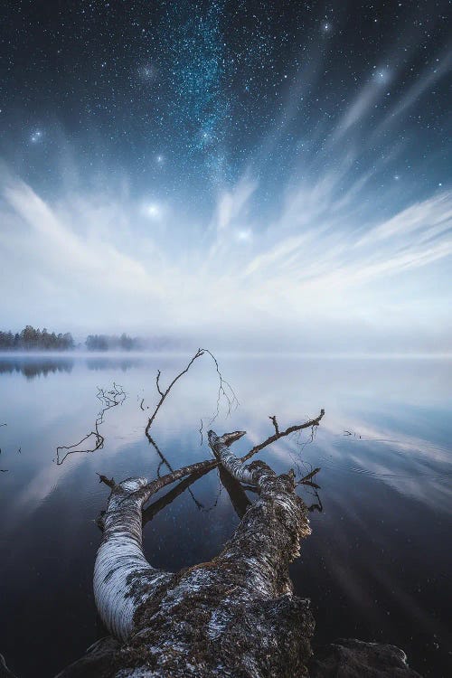 Dreamscape by Lauri Lohi wall art
