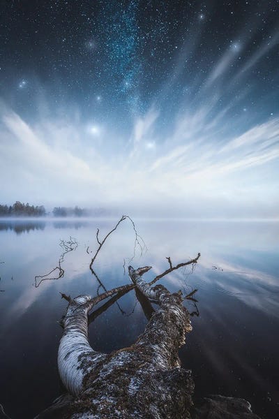 Lauri Lohi: Dreamscape by Lauri Lohi