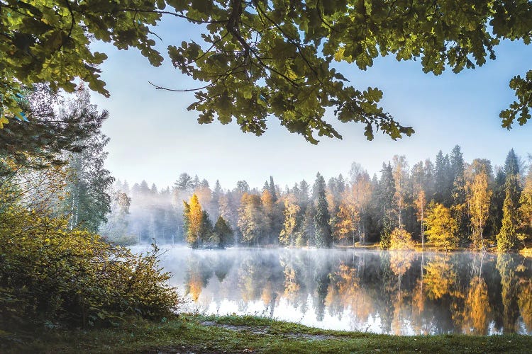 Forest Pond II