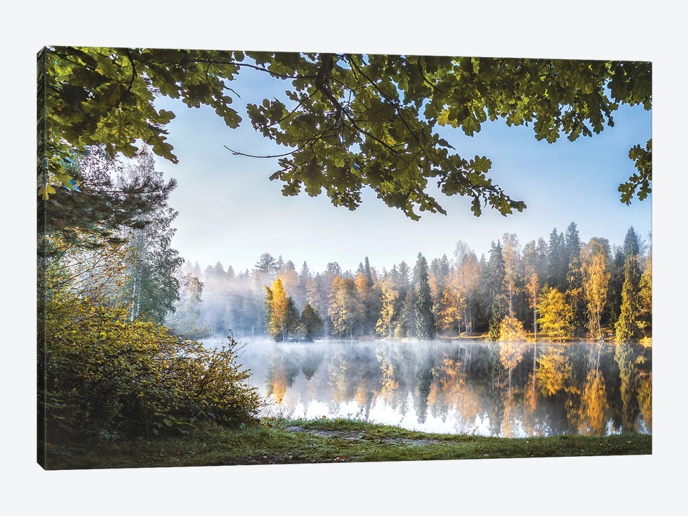 Forest Pond II by Lauri Lohi 1-piece Canvas Artwork