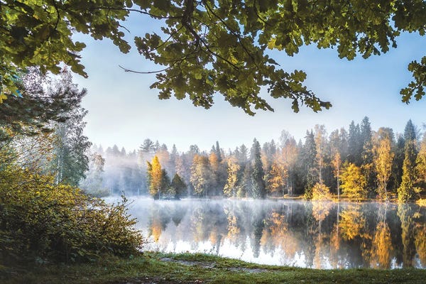 Lauri Lohi: Forest Pond II by Lauri Lohi
