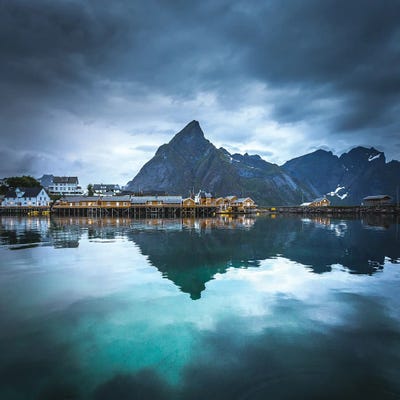 Moody Reine I by Lauri Lohi canvas print