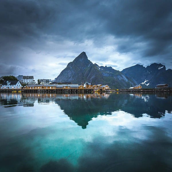 Lauri Lohi: Moody Reine I by Lauri Lohi