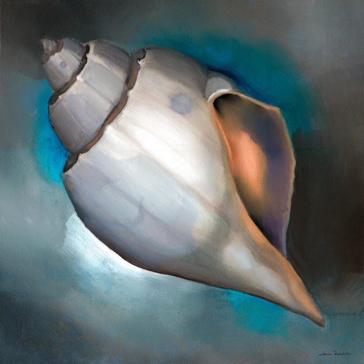 Sea Shell Glow by Louise Montillo canvas print