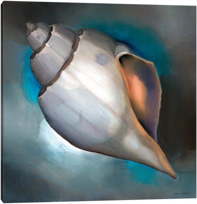 Sea Shell Glow Canvas Art Print
