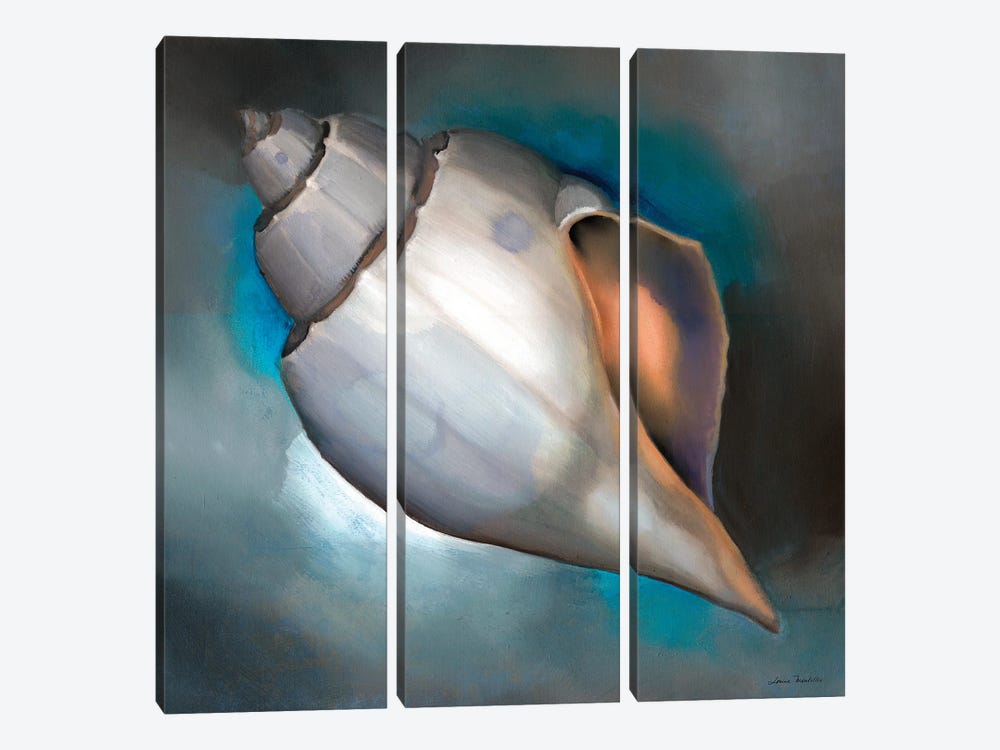 Sea Shell Glow by Louise Montillo 3-piece Canvas Art