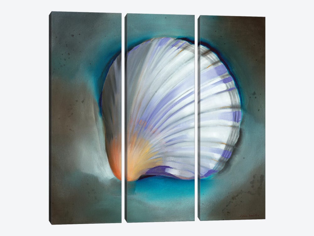 Clam Shell Glow by Louise Montillo 3-piece Canvas Print