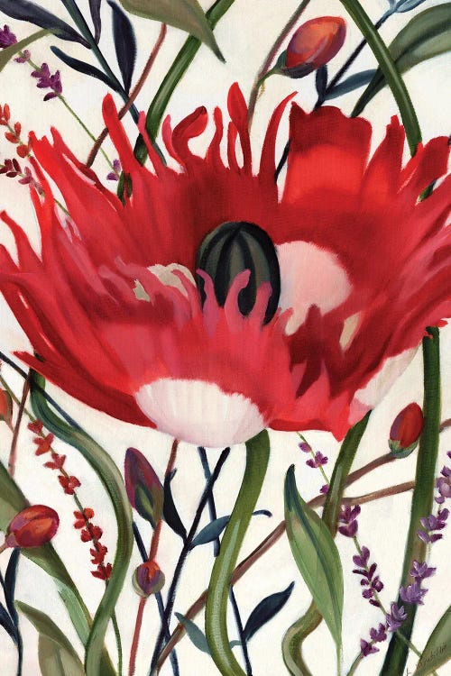 Poppy Dance Open by Louise Montillo canvas print