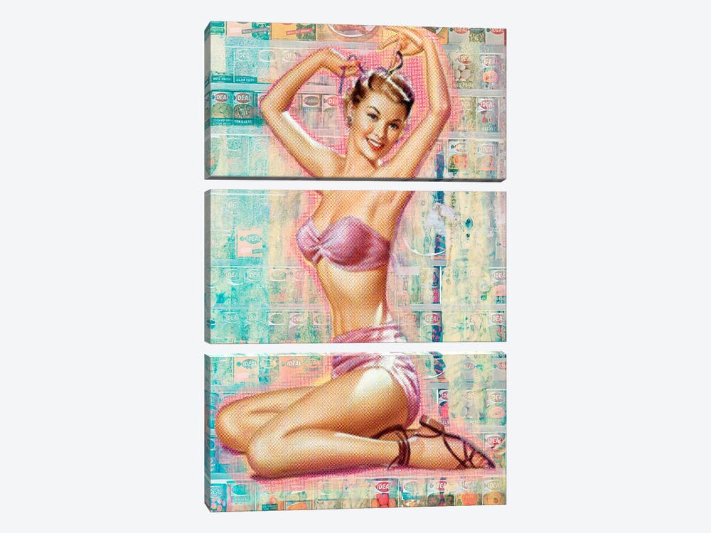 Pin-Up #1 by Luz Graphics 3-piece Canvas Art Print
