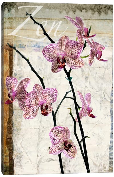 Orchids Canvas Art Print - Luz Graphics