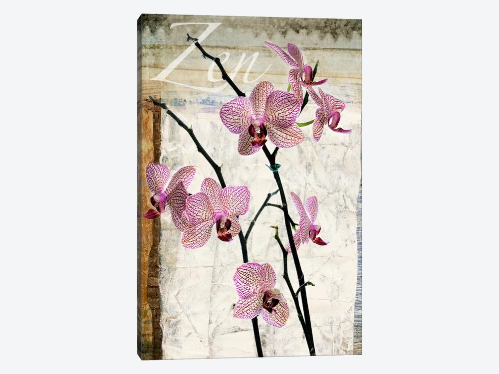 Orchids by Luz Graphics 1-piece Canvas Print