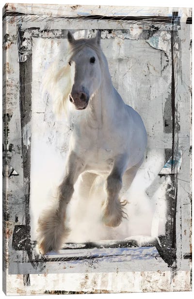 Mustang Makarova Canvas Art Print - Luz Graphics