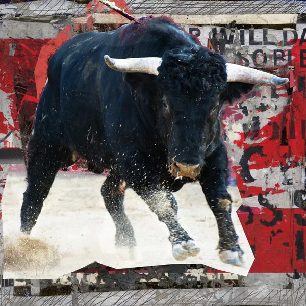 Mad Toro