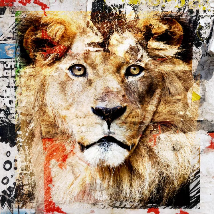 Lion by Luz Graphics wall art