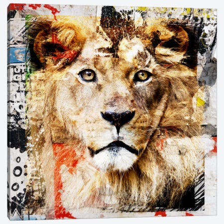 Lion Canvas Print #LUZ44} by Luz Graphics Canvas Wall Art