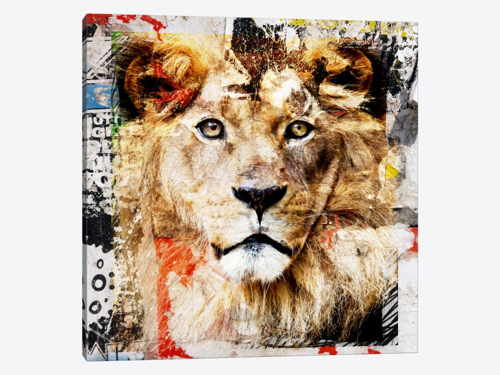 Lion by Luz Graphics 1-piece Canvas Art Print