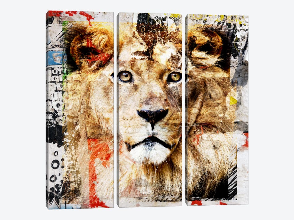 Lion by Luz Graphics 3-piece Canvas Print