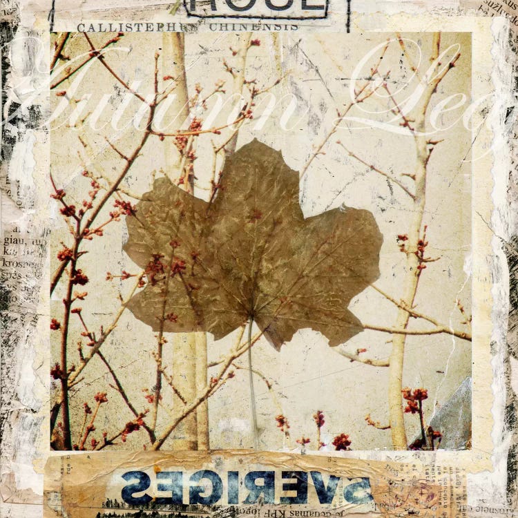 Autumn Leaf by Luz Graphics wall art