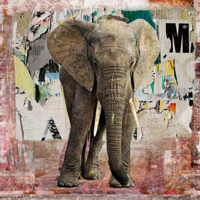Elephant Torn Posters by Luz Graphics multi panel art