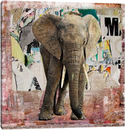 Elephant Torn Posters Canvas Art Print