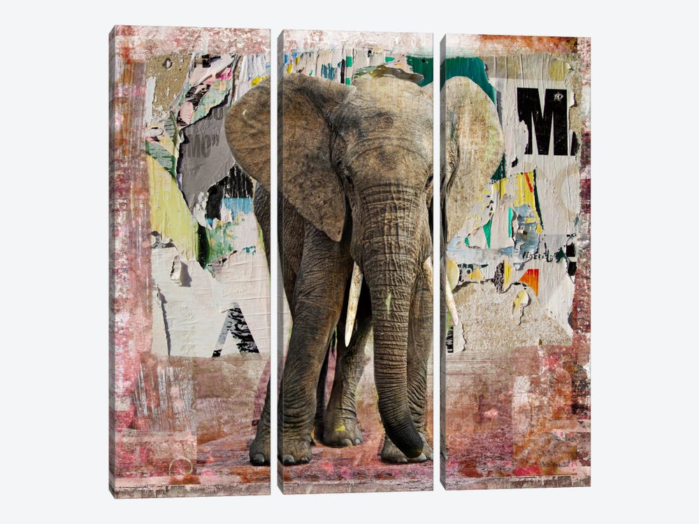 Elephant Torn Posters by Luz Graphics 3-piece Canvas Artwork