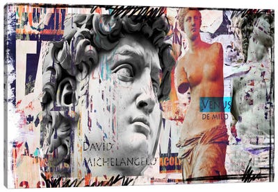 David and Venus Canvas Art Print - Luz Graphics