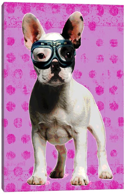 Bulldog Pink Canvas Art Print - French Bulldog Art