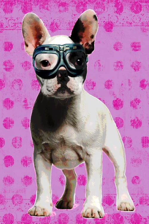 Bulldog Pink by Luz Graphics wall art