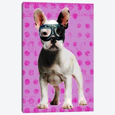 Bulldog Pink Canvas Print #LUZ63} by Luz Graphics Canvas Art Print