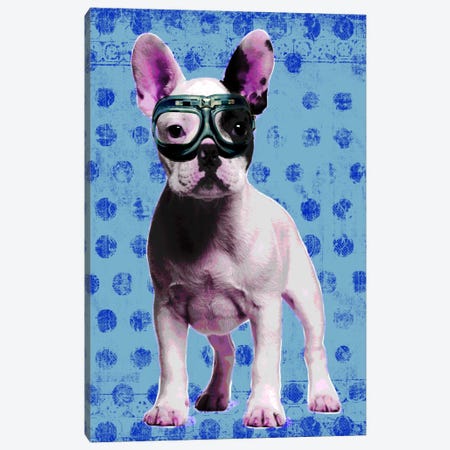 Bulldog Blue Canvas Print #LUZ64} by Luz Graphics Canvas Art