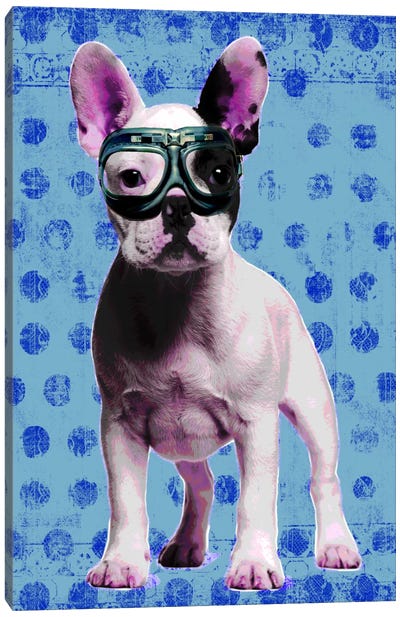 Bulldog Blue Canvas Art Print