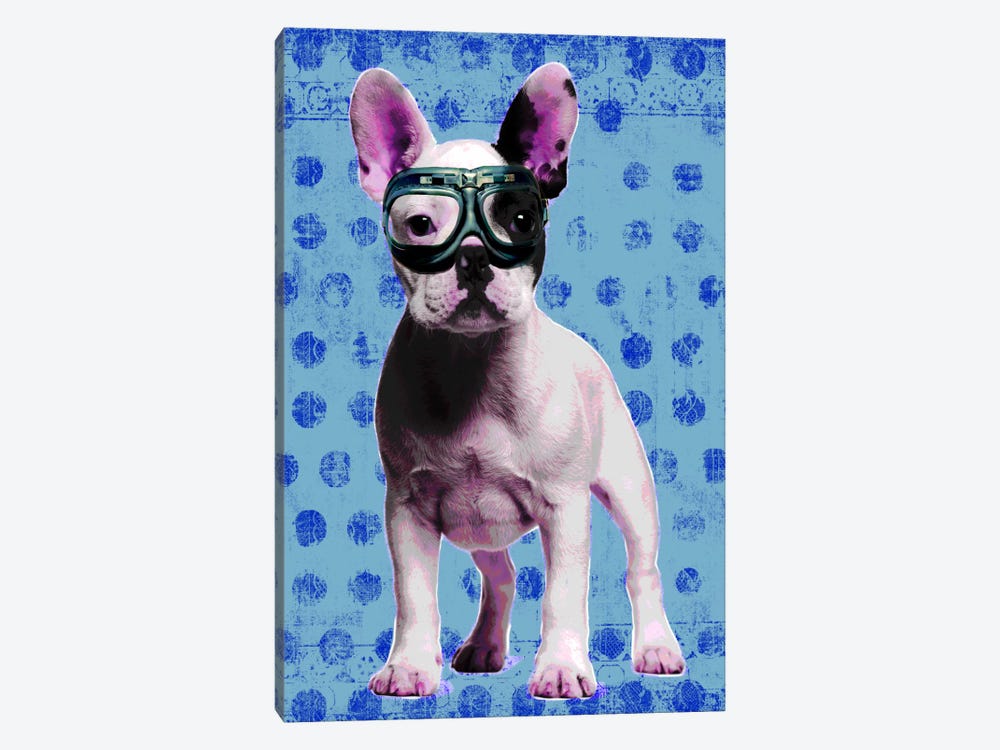 Bulldog Blue by Luz Graphics 1-piece Canvas Art Print