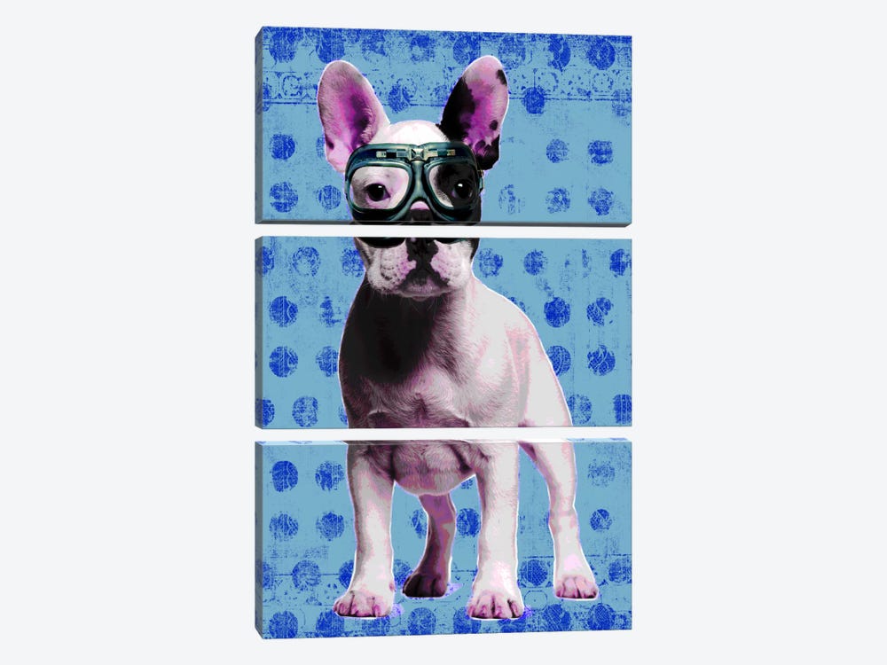 Bulldog Blue by Luz Graphics 3-piece Art Print