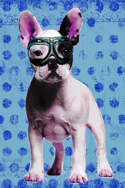 French Bulldogs: Bulldog Blue by Luz Graphics