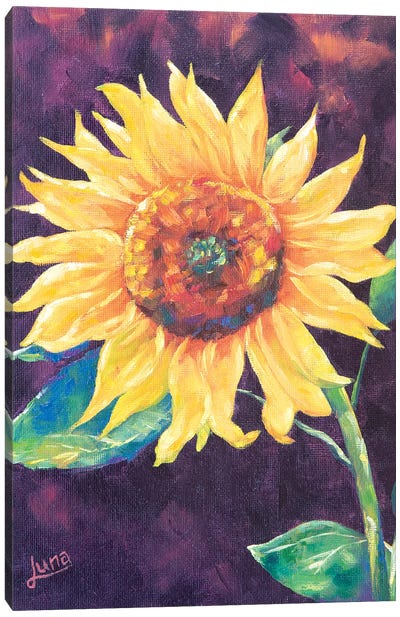 Sunburst Canvas Art Print - Luna Vermeulen