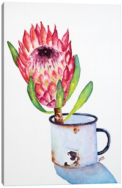 Yesterday'S Gone Canvas Art Print - Protea