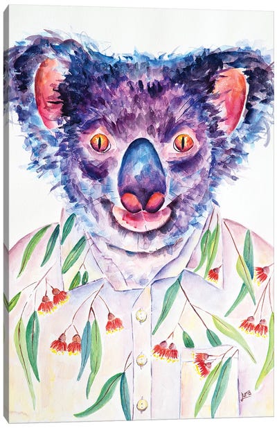 Kalyptus Canvas Art Print - Koala Art