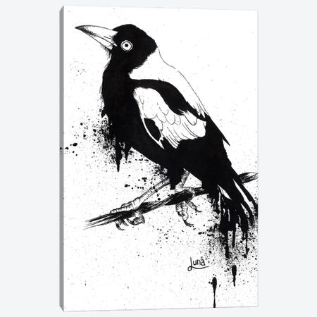 Outback Songbird Canvas Print #LVE187} by Luna Vermeulen Canvas Art