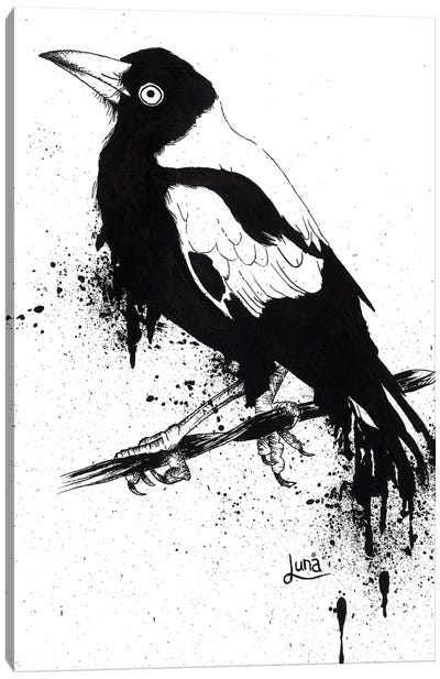 Outback Songbird Canvas Art Print - Luna Vermeulen