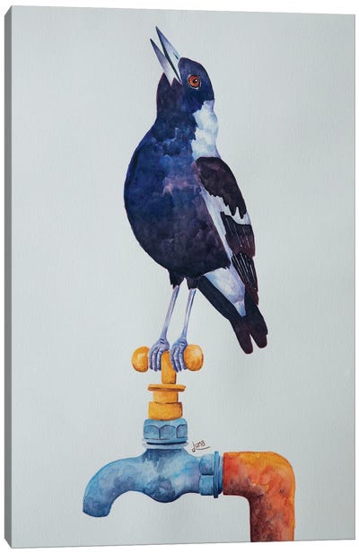 The Soloist Canvas Art Print - Crow Art