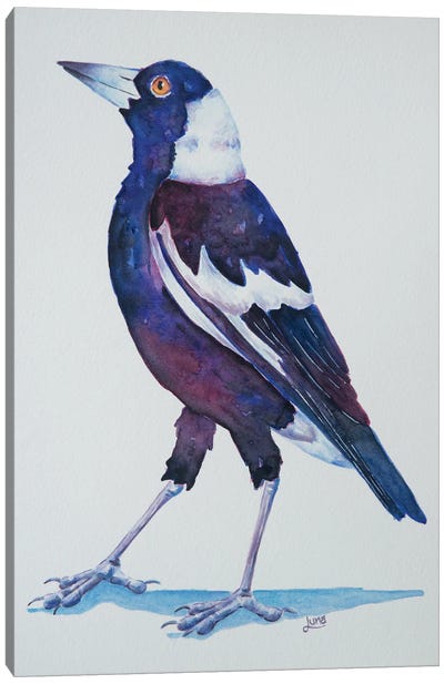 Walkabout Canvas Art Print - Crow Art