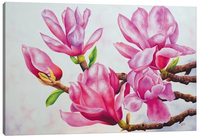 Sue'S Pink Moments Canvas Art Print - Magnolia Art