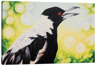 Early Bird Canvas Art Print - Crow Art