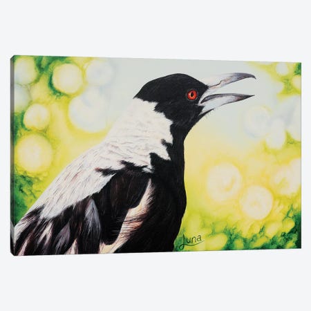 Early Bird Canvas Print #LVE24} by Luna Vermeulen Canvas Art Print