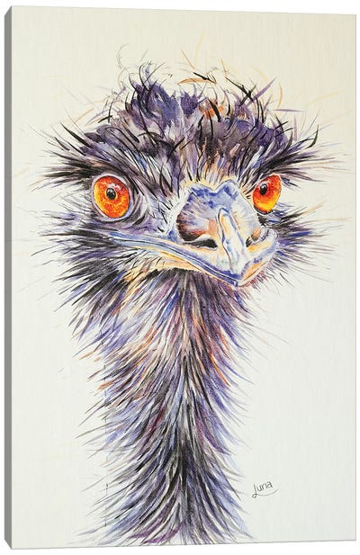 Beaky Canvas Art Print