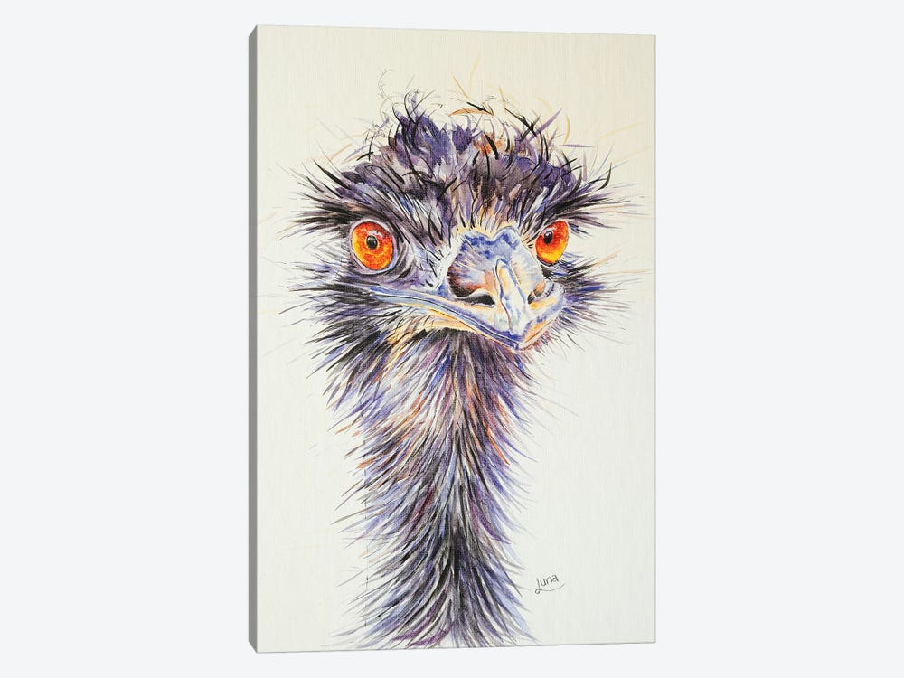 Beaky by Luna Vermeulen 1-piece Canvas Artwork