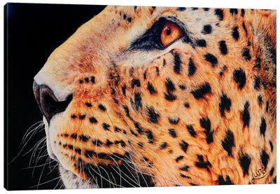 Hunger Games Canvas Art Print - Jaguar Art