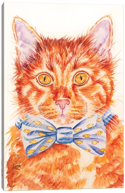 Marmalade Canvas Art Print - Orange Cat Art