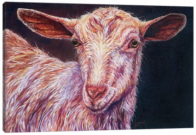 Billy The Kid Canvas Art Print - Goat Art